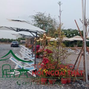 Dù che nắng DCN-009