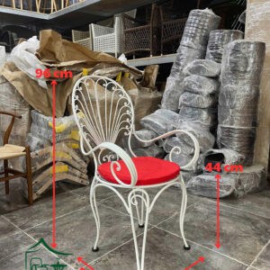 Ghế sắt mỹ nghệ BGS31